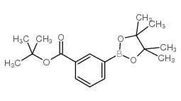Éster de pinacol del ácido 3 terc butoxicarbonil fenilborónico CAS
