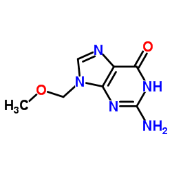 9-metoximetil guanina CAS:1202645-50-8