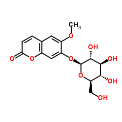 escopolin(CAS531442) Proveedor de