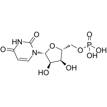 Monofosfato de uridina CAS:58-97-9
