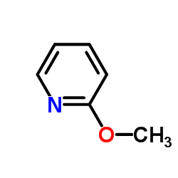 Suministro 2-metoxipiridina CAS:1628-89-3