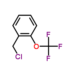 Suministro 1- (Clorometil) -2- (trifluorometoxi) benceno CAS:116827-40-8