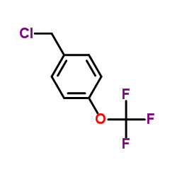 Suministro Cloruro de 4- (trifluorometoxi) bencilo CAS:65796-00-1