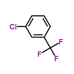 Suministro  3-clorobenzotrifluoruro CAS:98-15-7