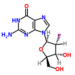 Suministro 2-amino-9 - [(2R, 3R, 4R, 5R) -3-fluoro-4-hidroxi-5- (hidroximetil) oxolan-2-il] -3H-purin-6-ona CAS:78842-13-4