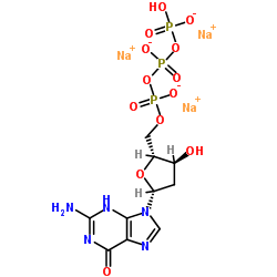 Suministro Sal trisódica de 2'-desoxicoguanosina-5'-trifosfato CAS:93919-41-6