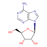Suministro adenosina CAS:58-61-7