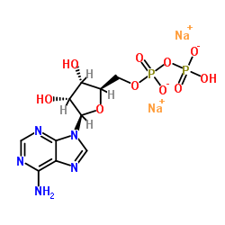 Suministro Sal disódica de adenosina-5'-difosfato CAS:16178-48-6