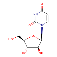 Suministro 1-β-D-Arabinofuranosiluracilo CAS:3083-77-0