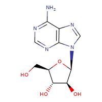 Suministro arabinósido de adenina CAS:5536-17-4