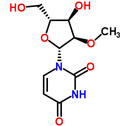 Suministro 2'-O-metiluridina CAS:2140-76-3