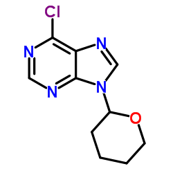 Suministro 6-cloro-9- (tetrahidropiran-2-il) purina CAS:7306-68-5