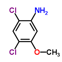 Suministro 5-amino-2,4-dicloroanisol CAS:98446-49-2