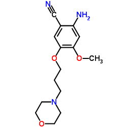 Suministro 2-amino-4-metoxi-5- (3-morfolinopropoxi) benzonitrilo CAS:675126-27-9