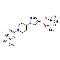 Suministro 4- [4- (4,4,5,5-tetrametil-1,3,2-dioxaborolan-2-il) -1H-pirazol-1-il] piperidina-1-carboxilato de terc-butilo CAS:877399-74-1