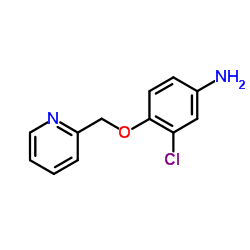 Suministro 3-cloro-4- (piridin-2-ilmetoxi) anilina CAS:524955-09-7