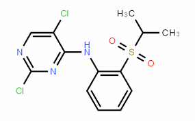 Suministro 2,5-dicloro-N- (2- (isopropilsulfonil) fenil) pirimidin-4-amina CAS:761440-16-8