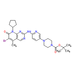Suministro terc-butil 4- [6 - [(6-bromo-8-ciclopentil-5-metil-7-oxopirido [2,3-d] pirimidin-2-il) amino] piridin-3-il] piperazina-1- carboxilato CAS:571188-82-4