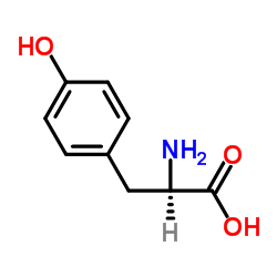 Suministro D-tirosina CAS:556-02-5
