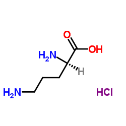 Suministro Monoclorhidrato de D-ornitina CAS:16682-12-5
