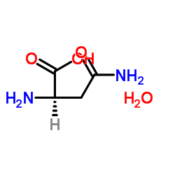 Suministro D-asparagina monohidrato CAS:5794-24-1