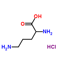Suministro Monoclorhidrato de DL-ornitina CAS:1069-31-4