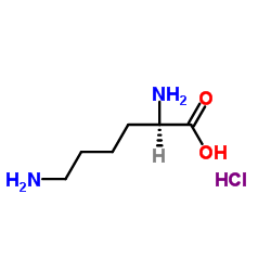 Suministro Monoclorhidrato de D-lisina CAS:7274-88-6