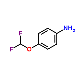 Suministro 4- (difluorometoxi) anilina CAS:22236-10-8