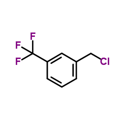 Suministro 3-clorometil-benzotrifluoruro CAS:705-29-3