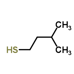 Suministro 3-metil-1-butanotiol CAS:541-31-1