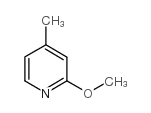 Suministro  2-metoxi-4-metilpiridina CAS:100848-70-2