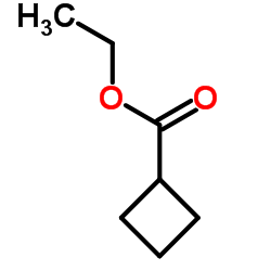 Suministro Ciclobutanocarboxilato de etilo CAS:14924-53-9