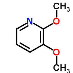 Suministro 2,3-dimetoxipiridina CAS:52605-97-7