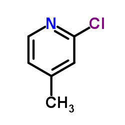 Suministro 2-cloro-4-picolina CAS:3678-62-4