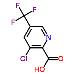Suministro Ácido 3-cloro-5- (trifluorometil) picolínico CAS:80194-68-9