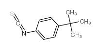 Suministro Isotiocianato de 4-terc-butilfenilo CAS:19241-24-8