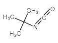 Suministro isocianato de terc-butilo CAS:1609-86-5