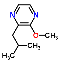 Suministro 2-metoxi-3-isobutil pirazina CAS:24683-00-9