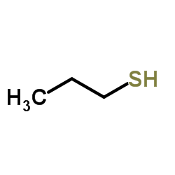 Suministro propano-1-tiol CAS:107-03-9