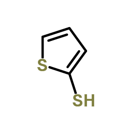 Suministro 2-tiofenotiol CAS:7774-74-5
