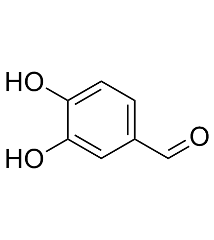 Suministro 3,4-dihidroxibenzaldehído CAS:139-85-5
