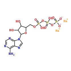 Suministro  Trifosfato de adenosina disódica CAS:51963-61-2