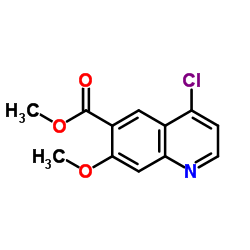 Suministro Ácido 6-quinolincarboxílico, 4-cloro-7-metoxi-, éster metílico CAS:205448-66-4