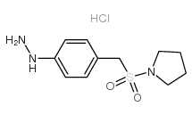 Suministro [4- (pirrolidin-1-ilsulfonilmetil) fenil] hidrazina, hidrocloruro CAS:334981-11-2