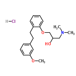 Suministro Clorhidrato de 1- (dimetilamino) -3- (2- (3-metoxifenil) fenoxi) propan-2-ol CAS:135261-74-4
