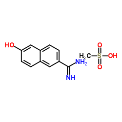 Suministro Sal de metanosulfonato de 6-hidroxi-2-naftimidamida CAS:82957-06-0
