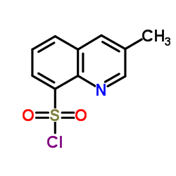 Suministro Cloruro de 3-metilquinolina-8-sulfonilo CAS:74863-82-4