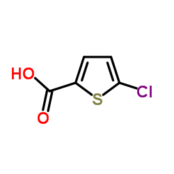 Suministro Ácido 5-cloro-2-tiofenocarboxílico CAS:24065-33-6