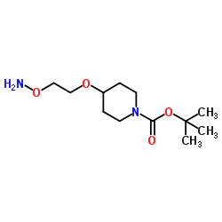 Suministro 4- [2- (Aminooxi) etoxi] -1-piperidincarboxílico del ácido 1,1-dimetiletil éster CAS:1452466-34-0