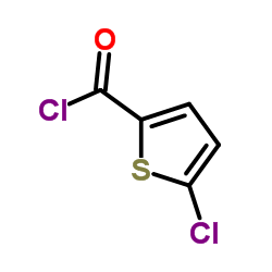Suministro Cloruro de 5-clorotiofeno-2-carbonilo CAS:42518-98-9